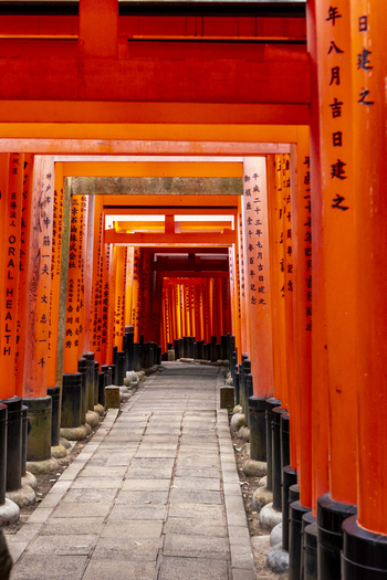 View of the iconic Senbon Torii with its vibrant orange gates lining a stone path at Fushimi Inari taisha shrine Kyoto Kyoto Japan.