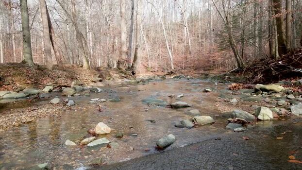 View of Scott s Run Nature Preserve with a shallow rocky stream United States. View of Scott s Run Nature Preserve with a shallow rocky stream United States.