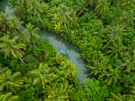 Aerial view of Maasin River winding through a dense tropical forest of coconut palm trees with a small boat carrying people on the water Siargao Philippines. Aerial view of Maasin River winding through a dense tropical forest of coconut palm trees with a small boat carrying people on the water Siargao Philippines.