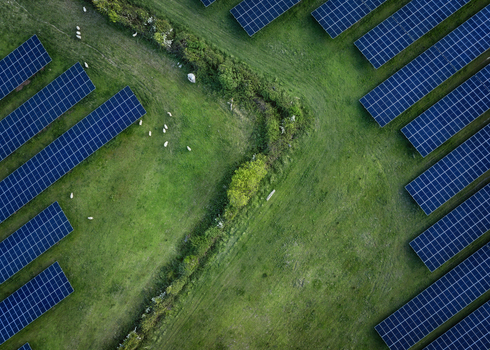 Aerial view of Gillinstown Solar Farm featuring rows of photovoltaic panels and sheep grazing on lush green pastures in County Meath Ireland.