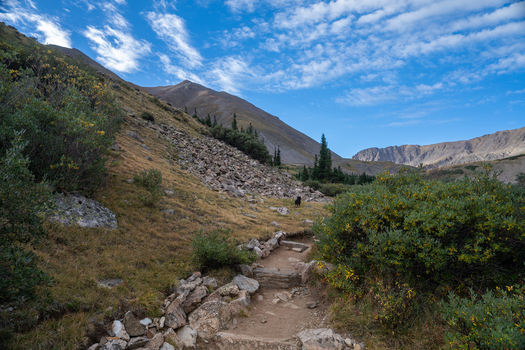 View of the Missouri Gulch Trailhead toward Mount Belford and Mt Missouri in the Collegiate Peaks Wilderness with a rocky path alpine shrubs and mountain slopes in Buena Vista Colorado USA.