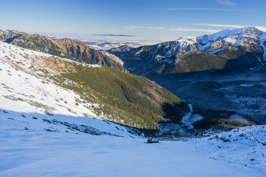 View of Ornak in Western Tatras with snow covered slopes pine forests and distant mountain peaks in Tatra County Lesser Poland Voivode Poland. View of Ornak in Western Tatras with snow covered slopes pine forests and distant mountain peaks in Tatra County Lesser Poland Voivode Poland.