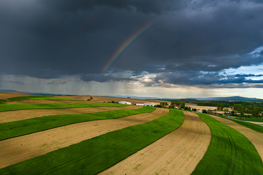 Aerial view of agricultural fields with alternating green and brown strips under a dark stormy sky with a rainbow in Nasedlovice South Moravian Region Czechia.