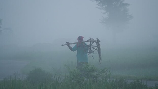 View of a farmer carrying a plow through thick fog in Bangladesh.