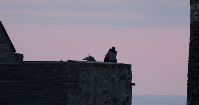 View of person and seagull on stone wall Italy.