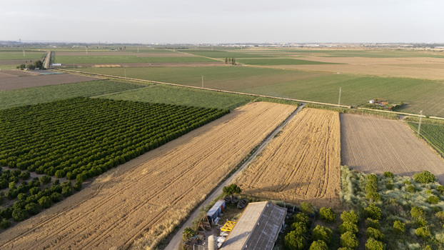 Aerial view of vast agricultural fields and patchwork farmland under a clear sky in Coria del Rio Andalusia Spain. Aerial view of vast agricultural fields and patchwork farmland under a clear sky in Coria del Rio Andalusia Spain.