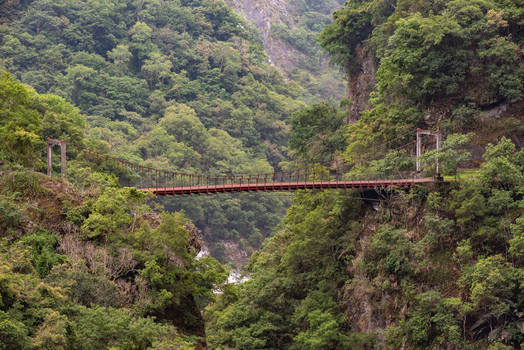 View of the suspension bridge in Taroko National Park surrounded by lush green mountains and dense forest in Xiulin Township Hualien County Taiwan.