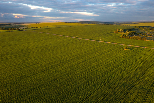 Aerial view of sun drenched fields meet the horizon under a sky brushed with golden hues Chyhyrynskyi district Cherkasy Oblast Ukraine. Aerial view of sun drenched fields meet the horizon under a sky brushed with golden hues Chyhyrynskyi district Cherkasy Oblast Ukraine.