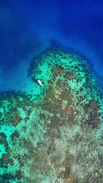 Aerial view of a small white boat over a vibrant coral reef Honduras. Aerial view of a small white boat over a vibrant coral reef Honduras.