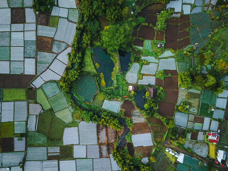 Aerial view of the Sembalun agricultural basin at the foothills of Mount Rinjani featuring vibrant terraced fields and structured crop plots in Sembalun West Nusa Tenggara Indonesia. Aerial view of the Sembalun agricultural basin at the foothills of Mount Rinjani featuring vibrant terraced fields and structured crop plots in Sembalun West Nusa Tenggara Indonesia.