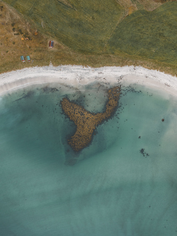 Aerial view of the Lofoten coastline featuring a sandy beach turquoise water seaweed patches and grassy hills in Svolvaer Nordland Norway.