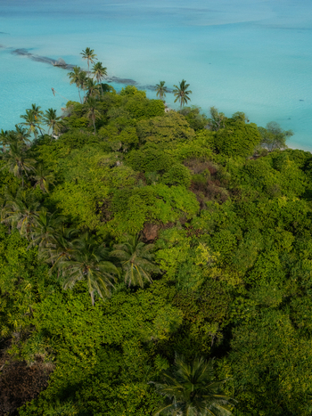 Aerial view of a verdant island of rich green trees contrasting with shallow clear turquoise waters Thuraakunu Thiladhunmathee Uthuruburi Maldives. Aerial view of a verdant island of rich green trees contrasting with shallow clear turquoise waters Thuraakunu Thiladhunmathee Uthuruburi Maldives.