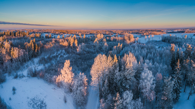 Aerial view of a snow covered forest landscape during golden hour with frost covered trees and a clear blue sky in Latvia. Aerial view of a snow covered forest landscape during golden hour with frost covered trees and a clear blue sky in Latvia.