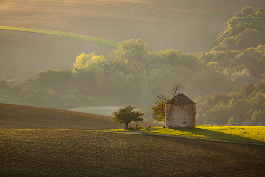 View of the historic Windmill Kunkovice standing in rolling agricultural fields surrounded by autumn trees and soft morning mist during golden hour Kunkovice Zlin Region Czechia. View of the historic Windmill Kunkovice standing in rolling agricultural fields surrounded by autumn trees and soft morning mist during golden hour Kunkovice Zlin Region Czechia.