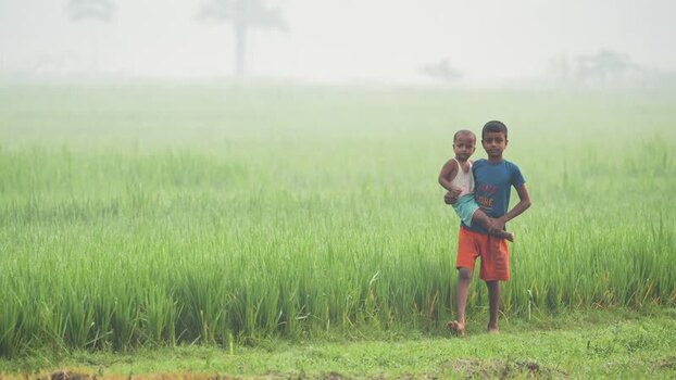 View of two boys in a misty rice field in Bogura Bangladesh.