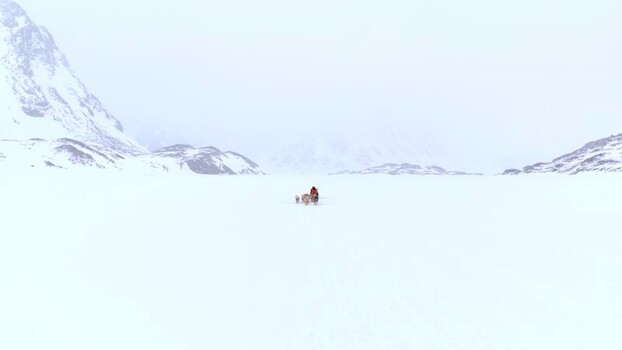 Aerial view of a dog sled team on the snow in Greenland. Aerial view of a dog sled team on the snow in Greenland.