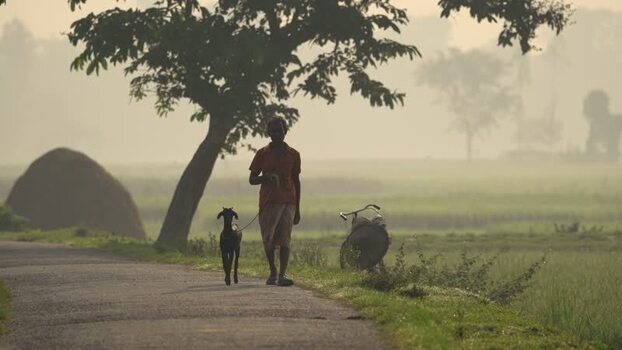View of a man walking a goat in a misty rural landscape Bangladesh.