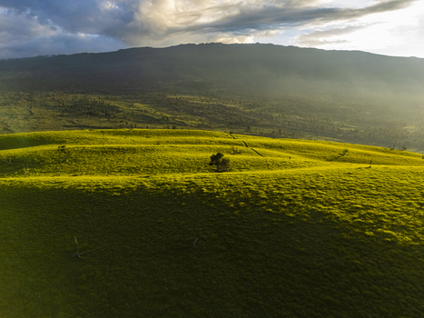 Aerial view of the rolling green hills of Puu Waawaa with sunlight illuminating the landscape under a cloudy sky in Hawaii County Hawaii United States. Aerial view of the rolling green hills of Puu Waawaa with sunlight illuminating the landscape under a cloudy sky in Hawaii County Hawaii United States.