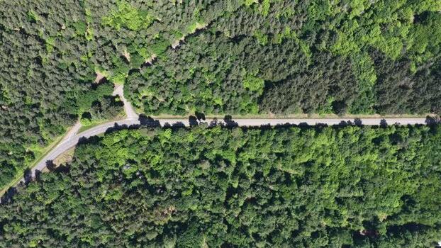 Aerial view of a road through a dense green forest France.