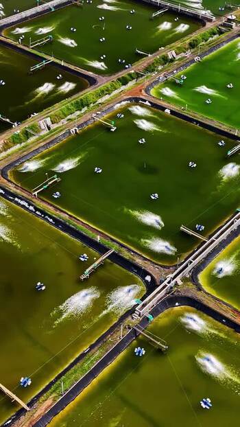 Aerial view of shrimp farming ponds in Bali Indonesia.