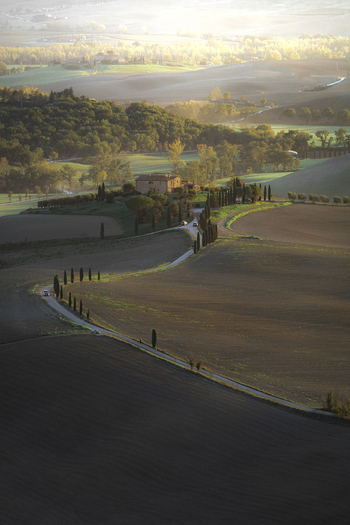 View of rustic house and field with trees in serene countryside Pienza Italy.