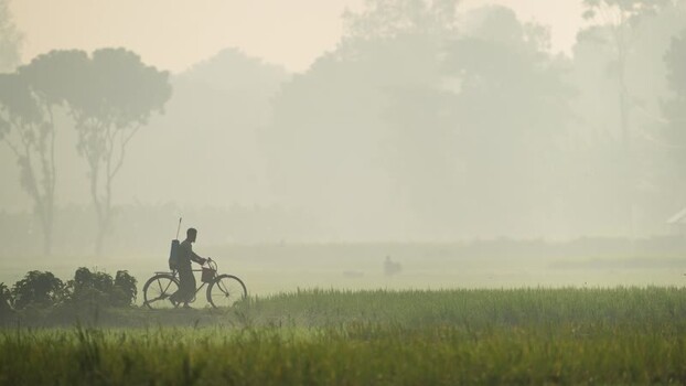 View of a man riding a bicycle through a misty field Bangladesh.