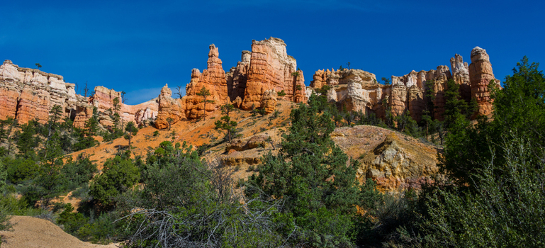 View of the orange rock hoodoos and pine trees at Bryce Canyon National Park in Utah United States.