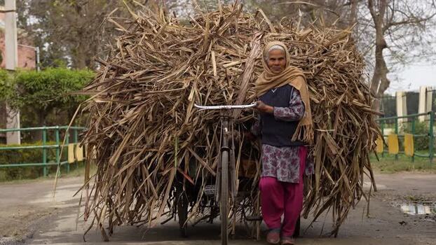 View of an elderly woman with a straw loaded bicycle in India.