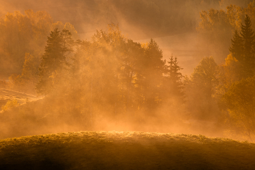 View of a misty forest landscape at sunrise with golden light filtering through the trees and rolling hills in Wodzilki Podlaskie Voivodeship Poland. View of a misty forest landscape at sunrise with golden light filtering through the trees and rolling hills in Wodzilki Podlaskie Voivodeship Poland.