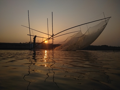 View of a fisherman operating a traditional bamboo lift net on the river at sunset with golden light reflecting on the water in Kushtia Khulna Division Bangladesh. View of a fisherman operating a traditional bamboo lift net on the river at sunset with golden light reflecting on the water in Kushtia Khulna Division Bangladesh.