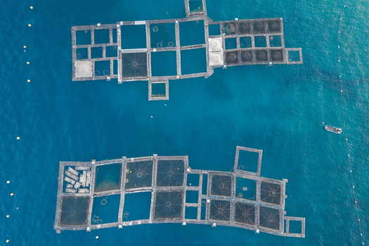 Aerial view of fish farms floating in the deep blue Mediterranean sea with a small boat nearby Antibes Provence Alpes Cote d Azur France. Aerial view of fish farms floating in the deep blue Mediterranean sea with a small boat nearby Antibes Provence Alpes Cote d Azur France.