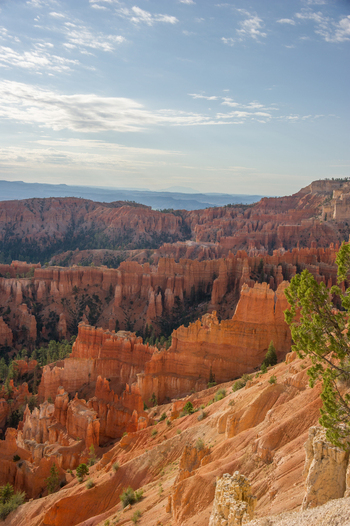 View of Bryce Canyon National Park with its iconic orange hoodoos rugged rock formations and scattered pine trees under a clear blue sky in Utah United States.