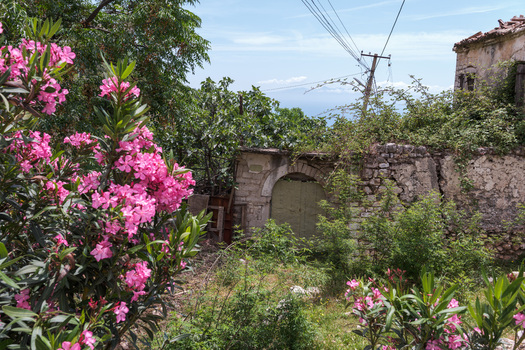 View of pink oleander flowers in bloom near an old stone wall and arched doorway with lush greenery and the sea in the distance Qeparo Fshat Vlore County Albania. View of pink oleander flowers in bloom near an old stone wall and arched doorway with lush greenery and the sea in the distance Qeparo Fshat Vlore County Albania.