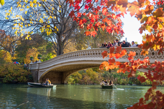 Manhattan United States 08 November 2025 View of Bow Bridge in Central Park is framed by fiery autumn foliage with boats gliding on the tranquil water below. Manhattan United States 08 November 2025 View of Bow Bridge in Central Park is framed by fiery autumn foliage with boats gliding on the tranquil water below.