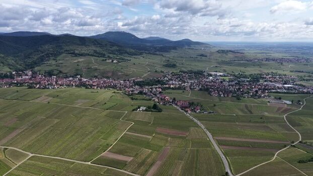 Aerial view of Ribeauville town and surrounding vineyards France. Aerial view of Ribeauville town and surrounding vineyards France.