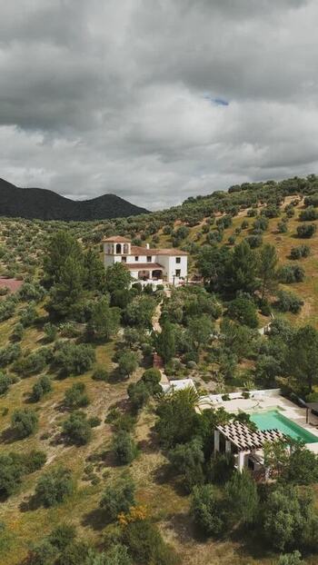 Aerial view of a white villa nestled in olive groves Spain.