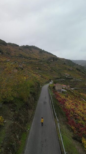 Aerial view of Ribeira Sacra road Spain. Aerial view of Ribeira Sacra road Spain.