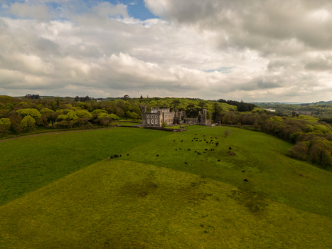 Aerial view of the historic Castlefreke Castle surrounded by lush green fields grazing cattle and dense woodland in Castlefreke County Cork Ireland.
