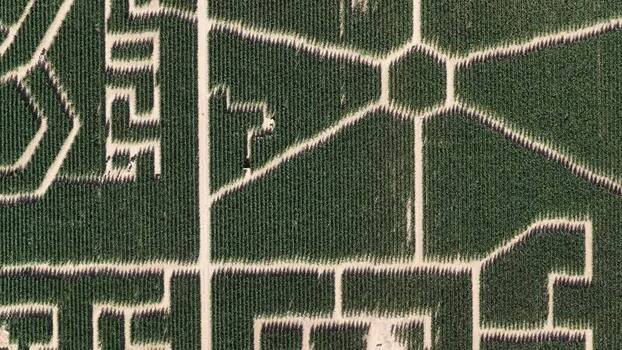 Aerial view of Labyrinthis corn maze in Soultz Haut Rhin France.