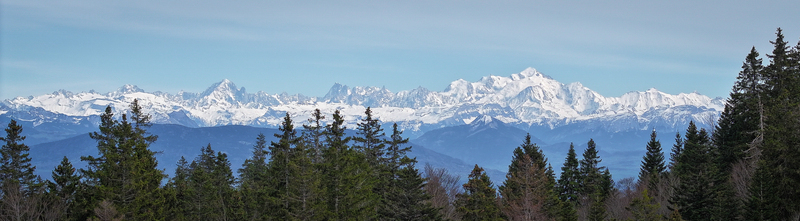Aerial view of the snow capped peaks of the Mont Blanc massif rising above a dense evergreen forest under a clear blue sky in Chamonix Auvergne Rhone Alpes France. Aerial view of the snow capped peaks of the Mont Blanc massif rising above a dense evergreen forest under a clear blue sky in Chamonix Auvergne Rhone Alpes France.
