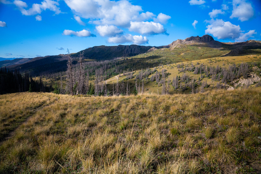 View of San Luis Peak and the rugged alpine landscape near West Willow Creek Trailhead with golden grasses and scattered trees under a blue sky in Creede Colorado United States. View of San Luis Peak and the rugged alpine landscape near West Willow Creek Trailhead with golden grasses and scattered trees under a blue sky in Creede Colorado United States.