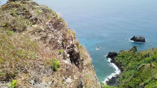 View of rugged coastal cliffs and ocean Pitcairn Islands.