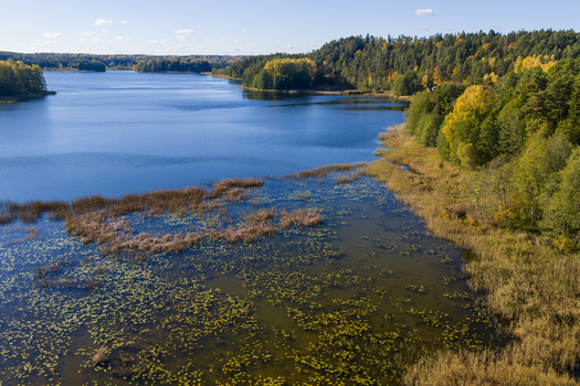 Aerial view of a serene lake surrounded by lush autumn forests and reed filled shores under a clear sky Lithuania. Aerial view of a serene lake surrounded by lush autumn forests and reed filled shores under a clear sky Lithuania.