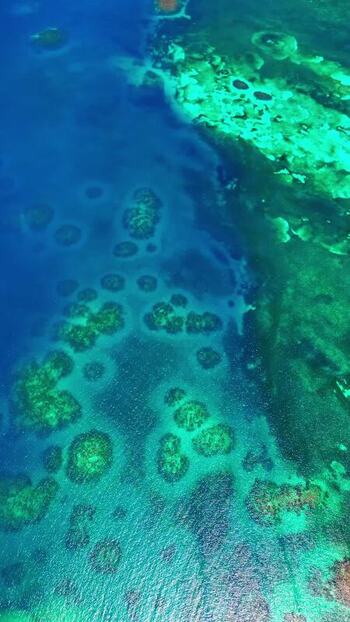 Aerial view of coral reefs and turquoise waters in Honduras. Aerial view of coral reefs and turquoise waters in Honduras.