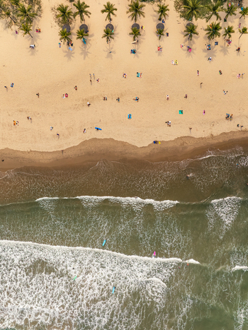 Aerial view of a sandy beach in Vietnam with palm trees sun umbrellas and people relaxing on the sand near the ocean waves. Aerial view of a sandy beach in Vietnam with palm trees sun umbrellas and people relaxing on the sand near the ocean waves.