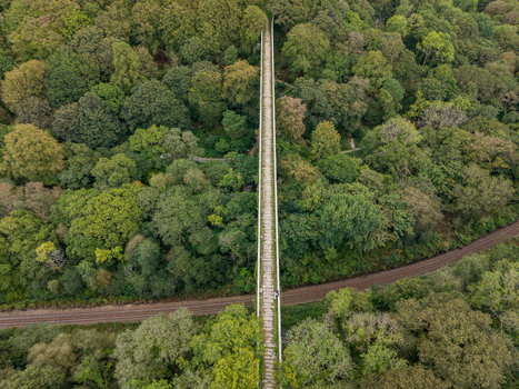 Aerial view of the historic Treffry Viaduct surrounded by dense woodland and lush forest canopy with a railway line running beneath in Luxulyan Cornwall United Kingdom.