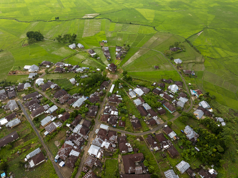 Aerial view of the unique Lingko spider web rice fields with geometric patterns radiating from a central point surrounded by lush green vegetation in Ruteng East Nusa Tenggara Indonesia.