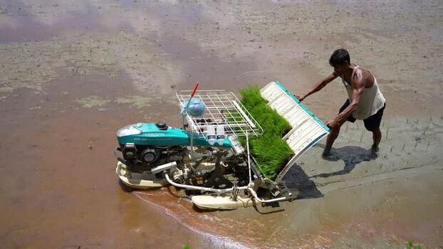 View of a farmer using a rice transplanter in a field Bangladesh.