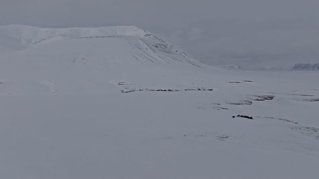 Aerial view of Pyramiden Svalbard and Jan Mayen.