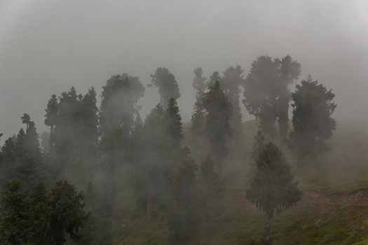 View of shrouded trees emerge from a ghostly veil of mist clinging to the hillside obscuring the vibrant greens in an ethereal embrace Pir Chanasi Azad Kashmir Pakistan. View of shrouded trees emerge from a ghostly veil of mist clinging to the hillside obscuring the vibrant greens in an ethereal embrace Pir Chanasi Azad Kashmir Pakistan.